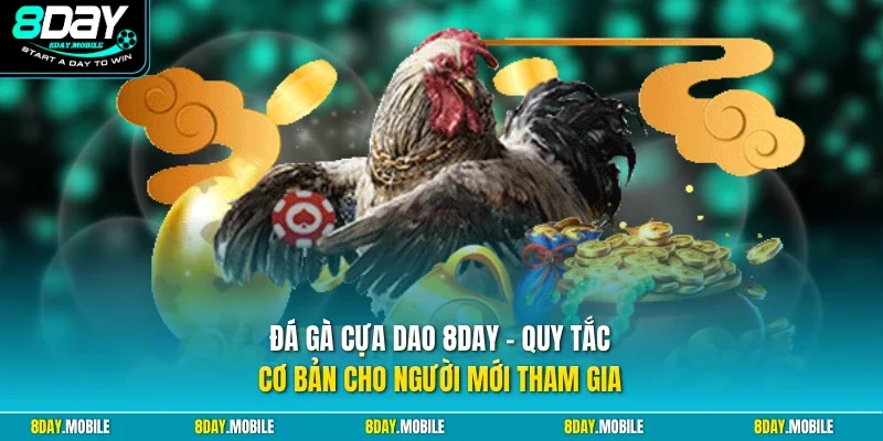 Đá gà cựa dao 8Day