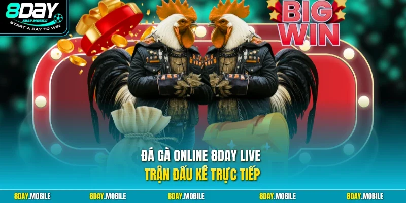 Đá gà online 8Day live trận đấu kê trực tiếp